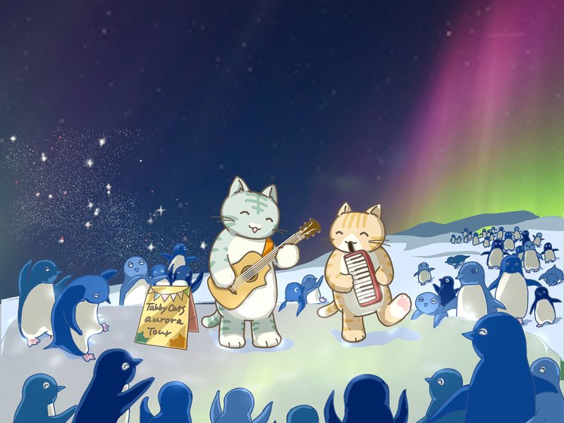 トラネコ団のオーロラライブ